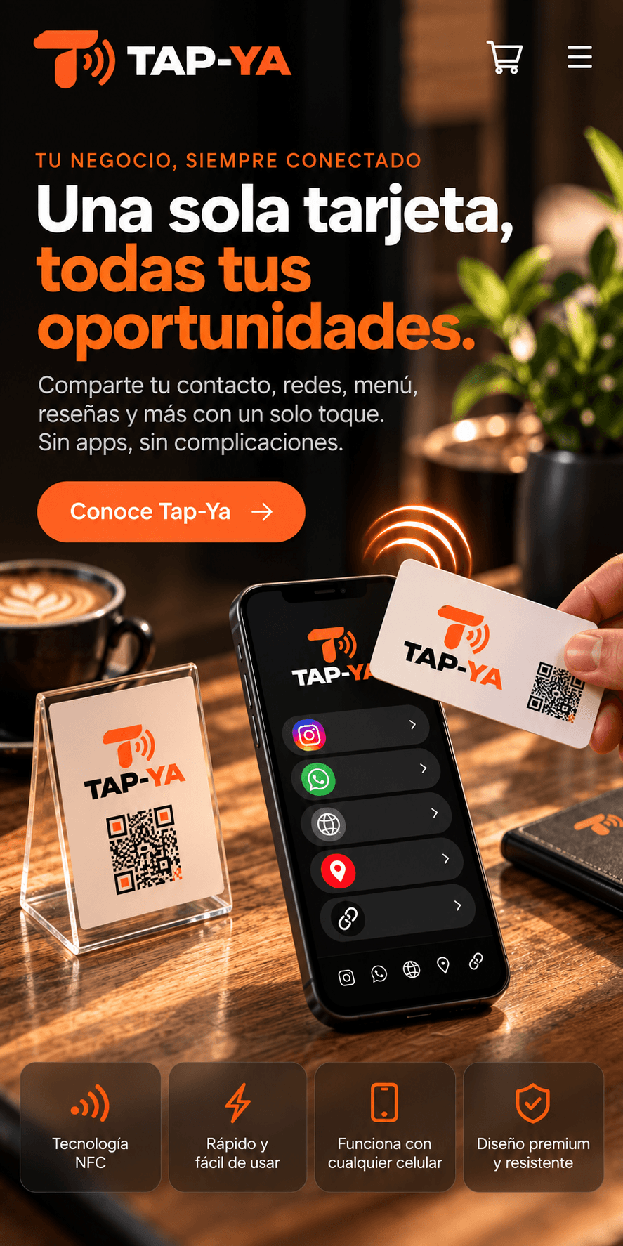 Versión para celular de TAPYA